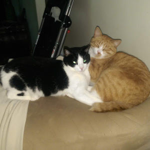 Meet your Posher, Johanna